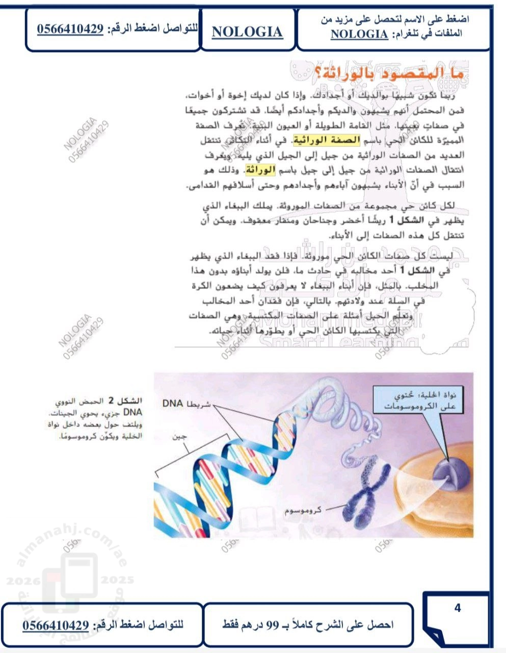 هيكل الامتحان النهائي 2026م