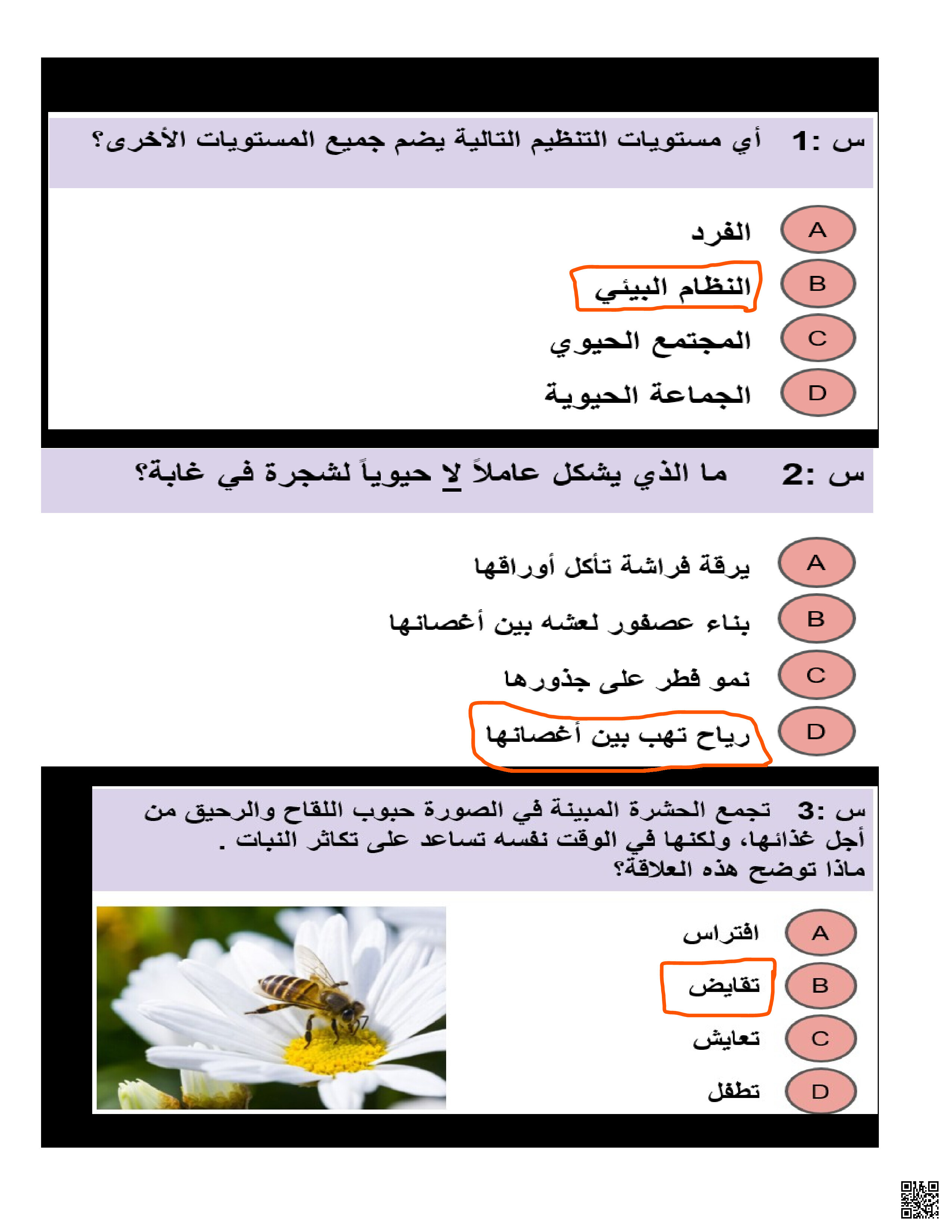 حل مراجعة وفق الهيكل الوزاري منهج بريدج - علوم - الصف الصف الحادي عشر العام - الفصل الفصل الثاني