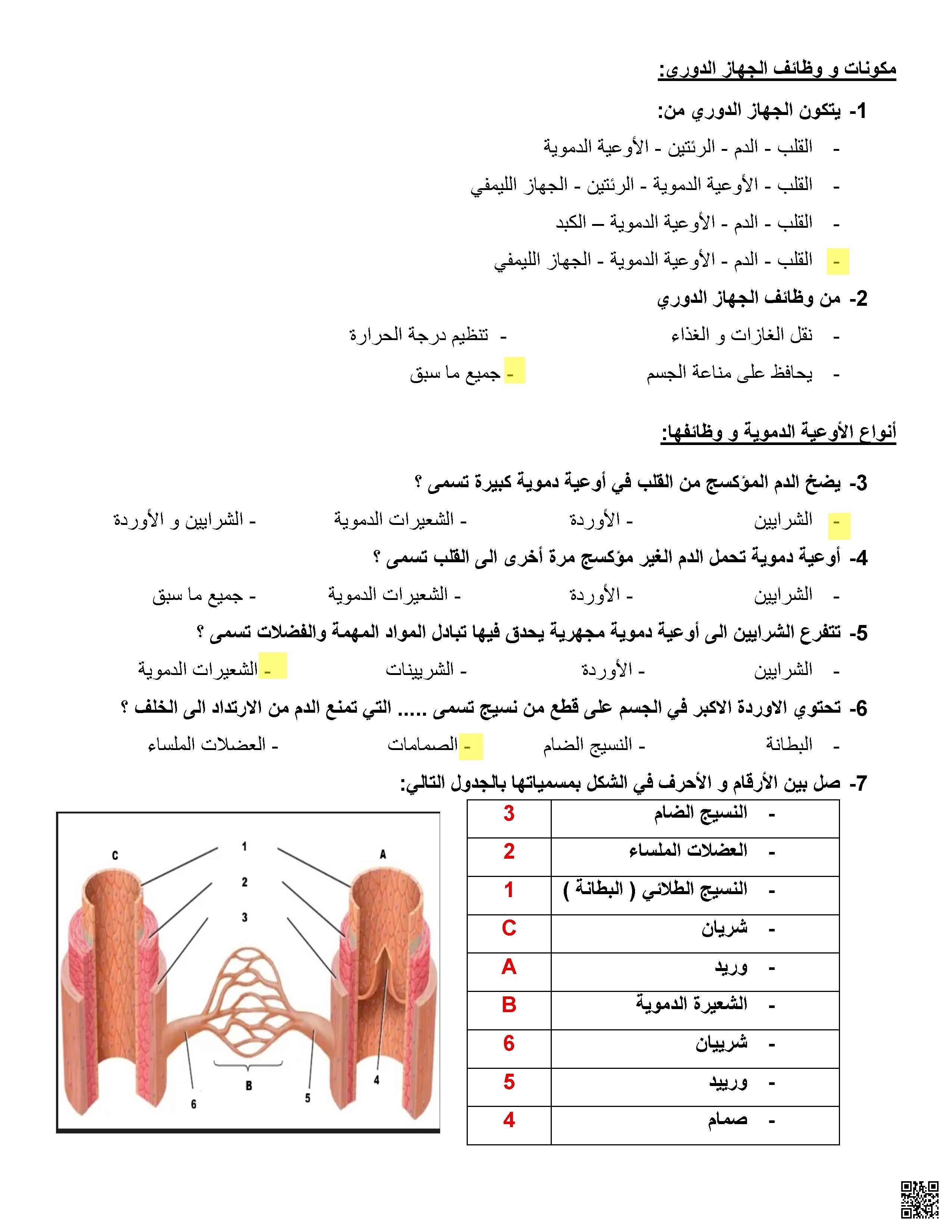 حل مراجعة شاملة الجهاز الدوري والتنفسي - علوم - الصف الصف الحادي عشر العام - الفصل الفصل الأول