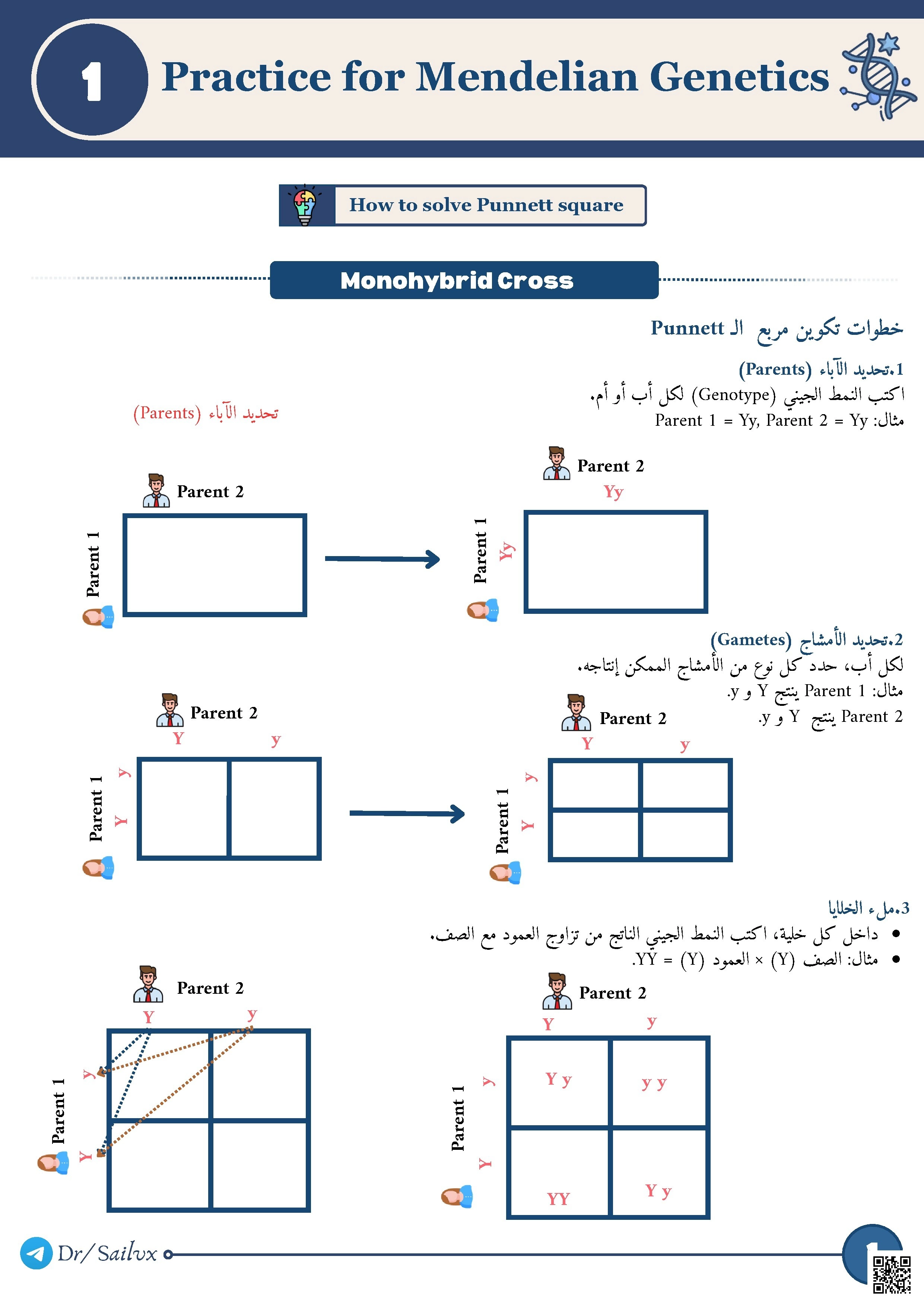 Practice for Mendelian Genetics