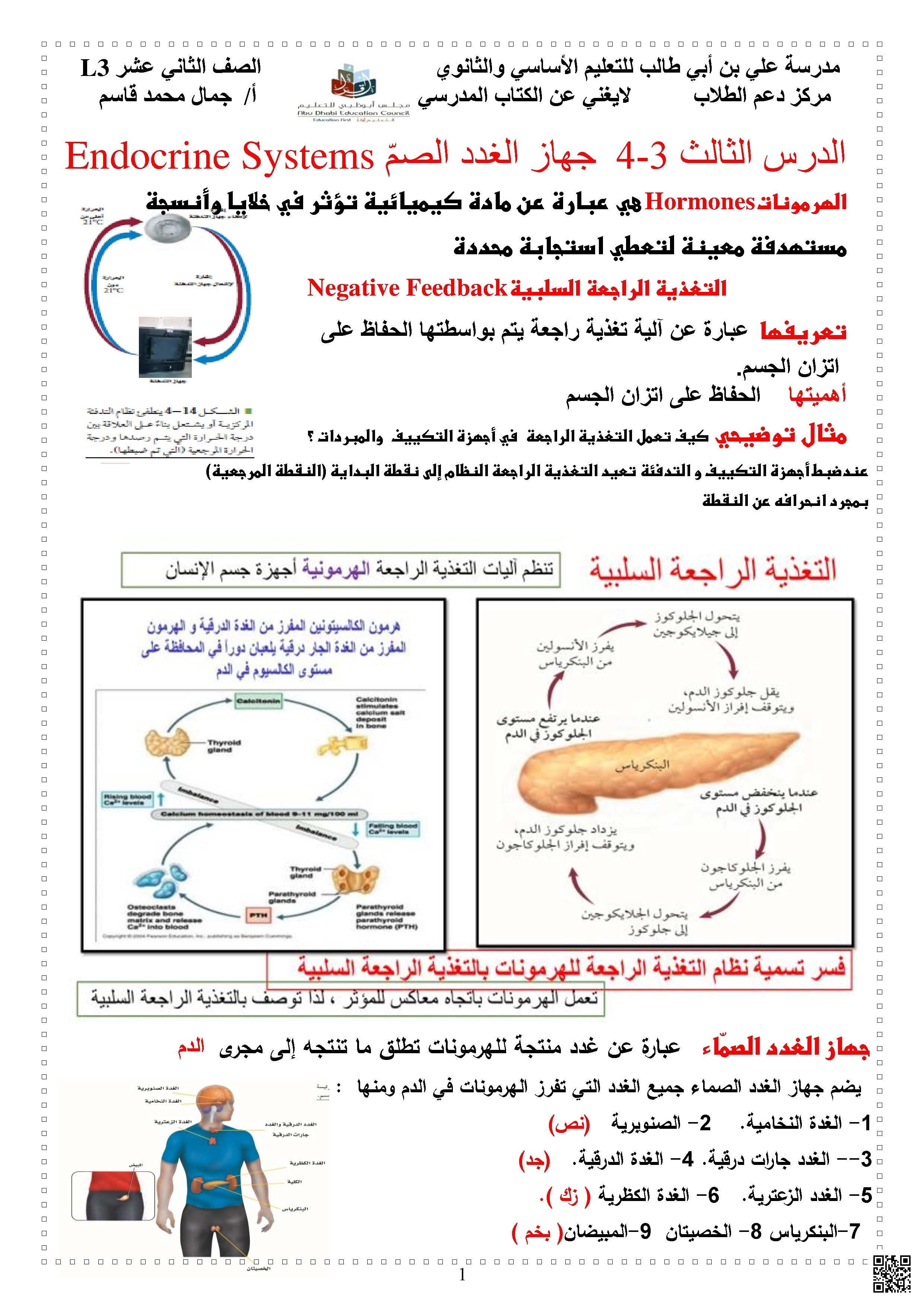 شرح جهاز الغدد الصماء