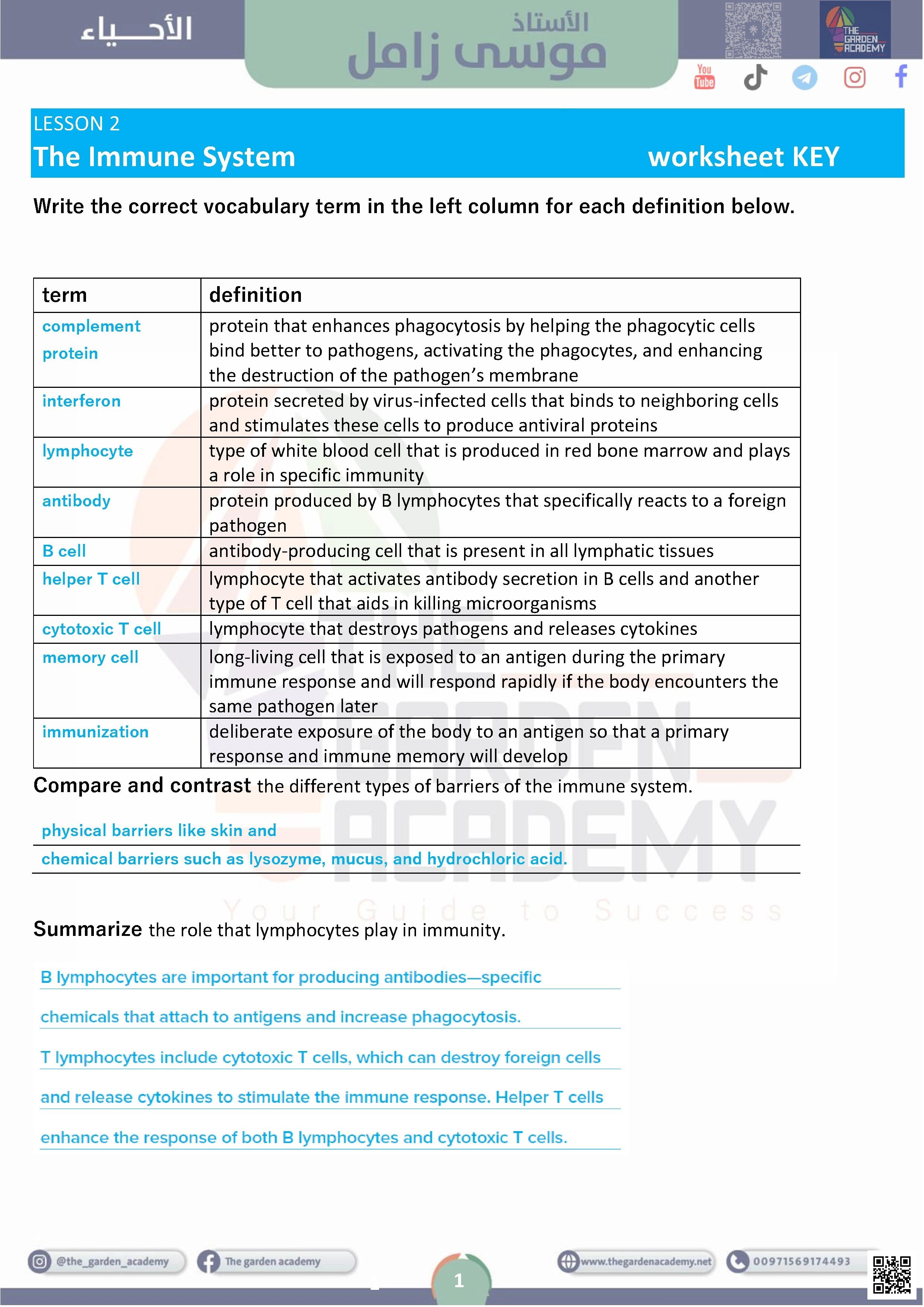 The Immune System Worksheet KEY