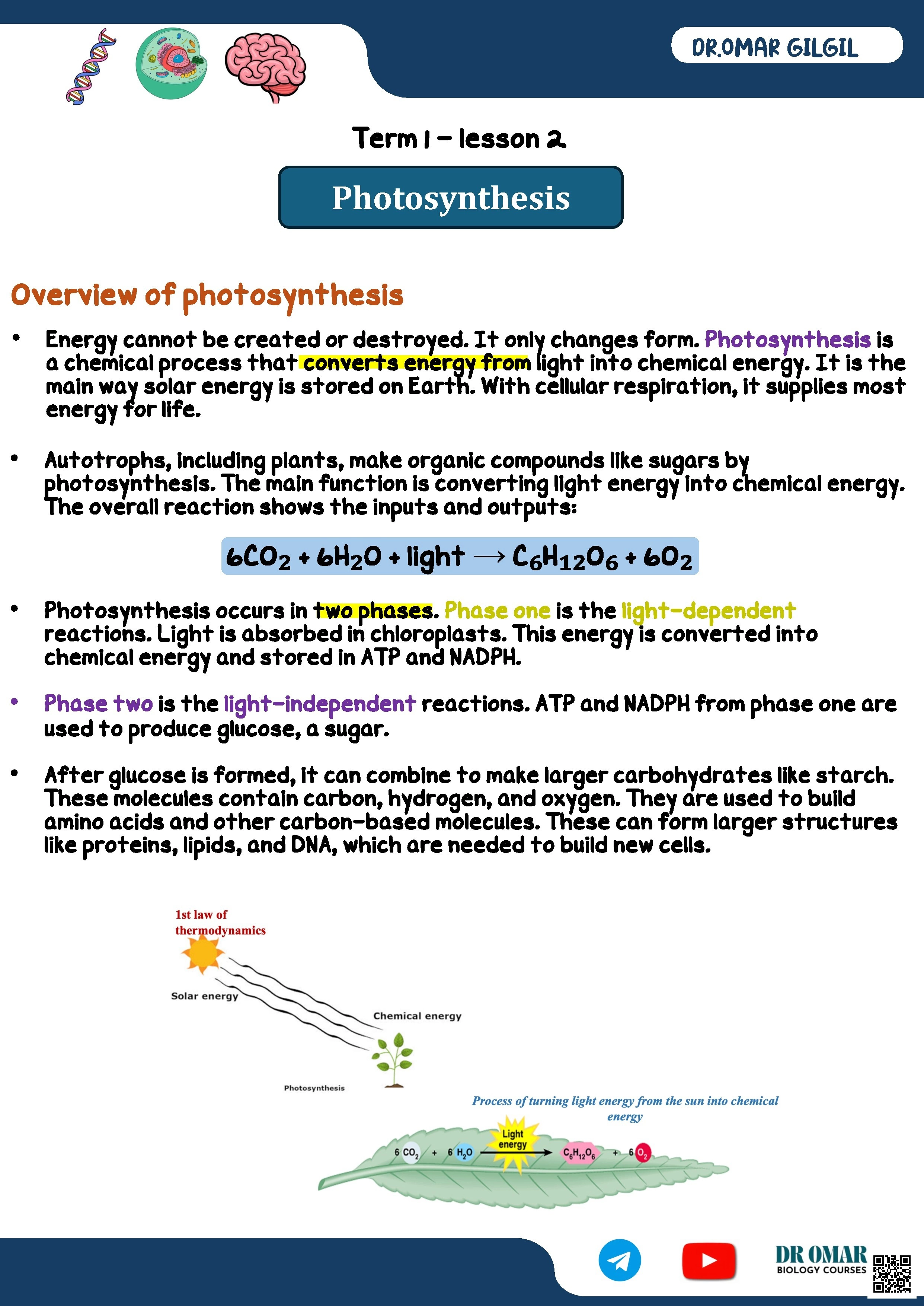 شرح Photosynthesis