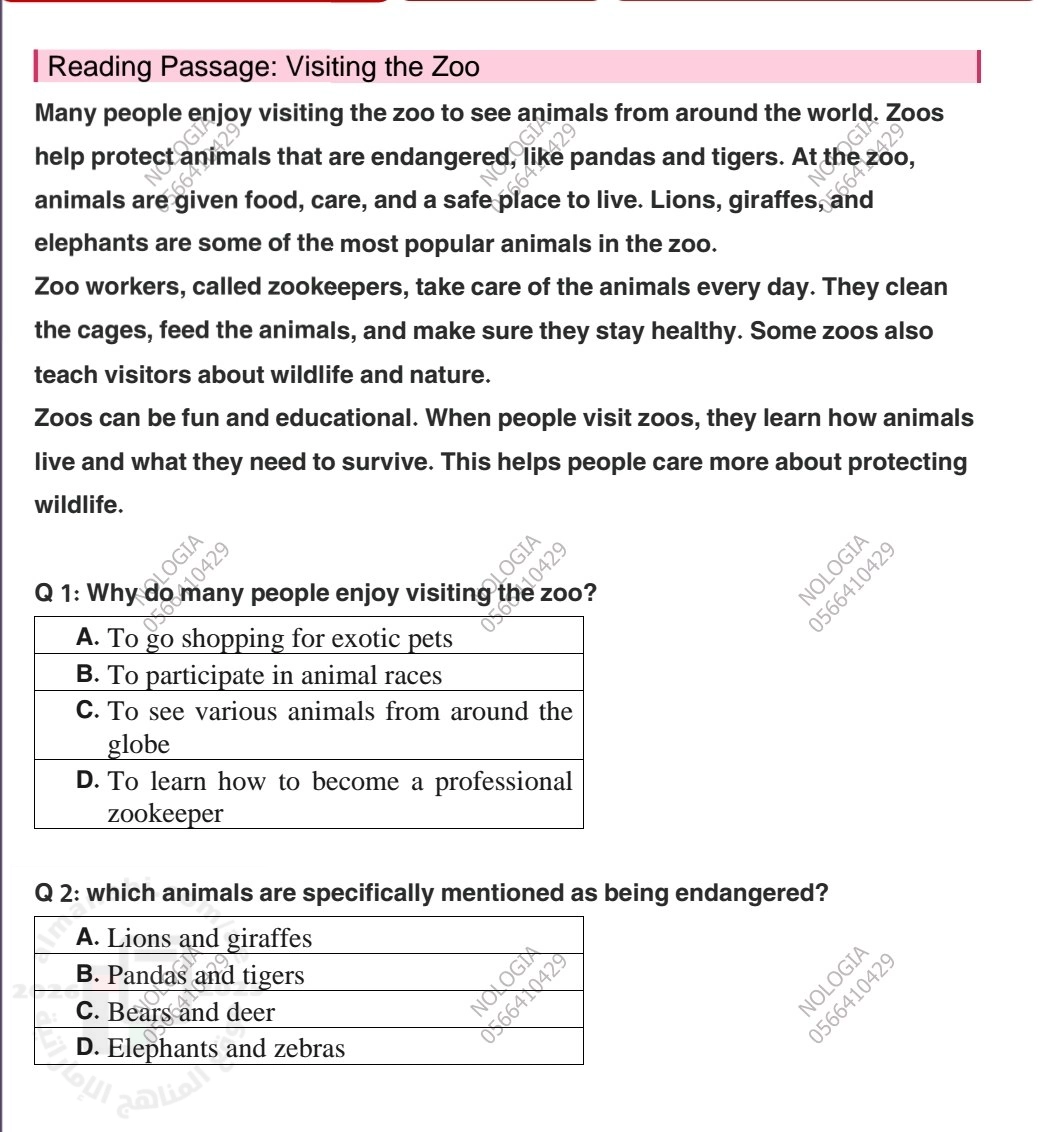 اختبار شامل للفصل في فهم المقروء والقواعد والمفردات