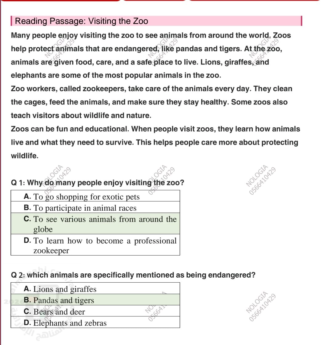 حل اختبار شامل للفصل في فهم المقروء والقواعد والمفردات