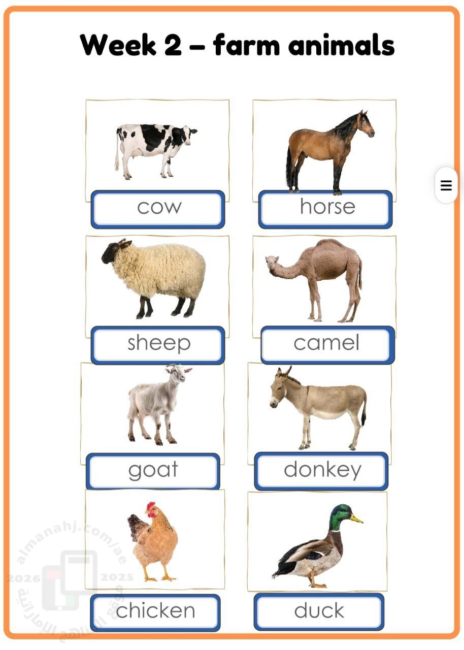 مراجعة وأوراق عمل الأسبوع الثاني Farm animals حيوانات المزرعة