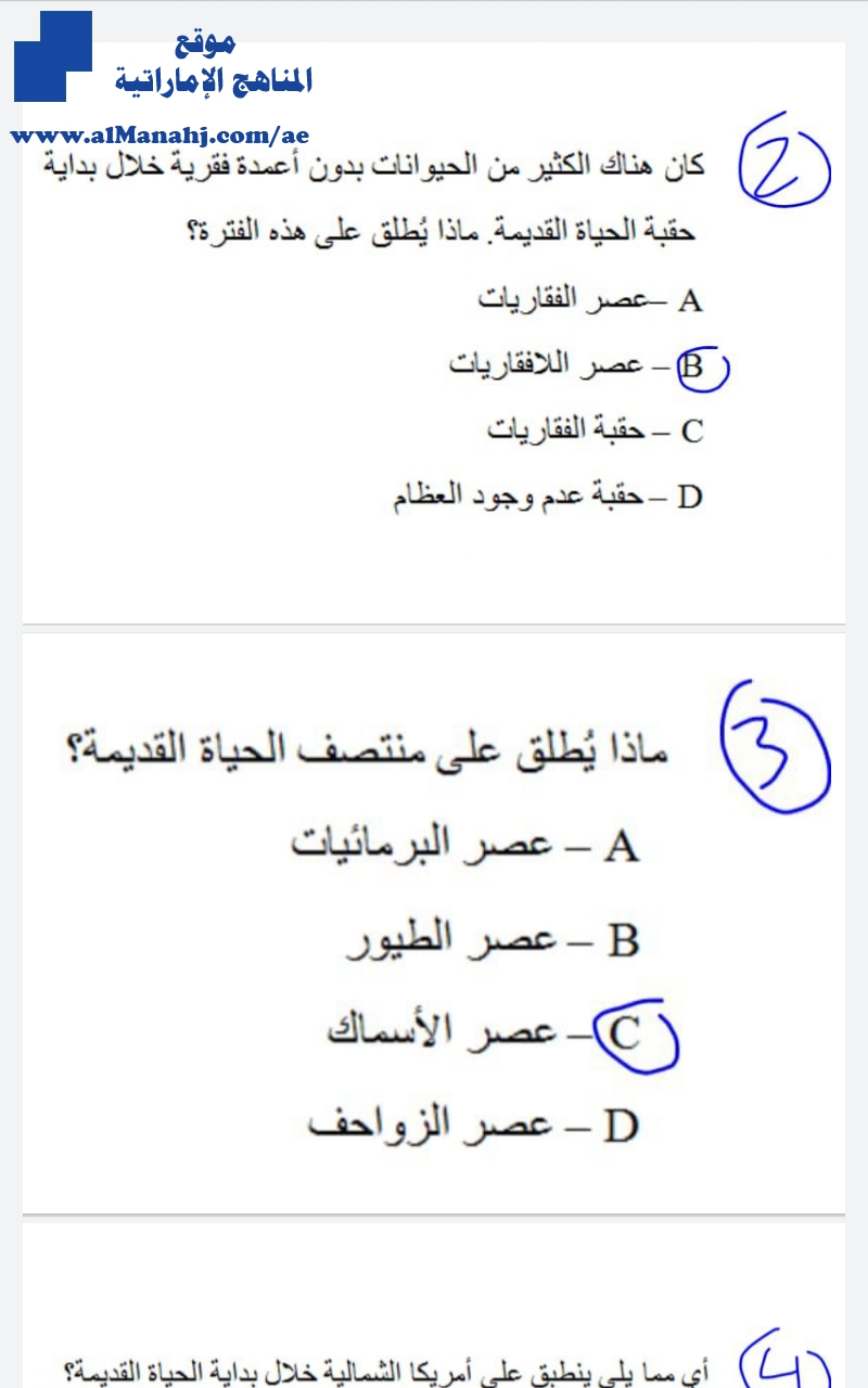 اختبار