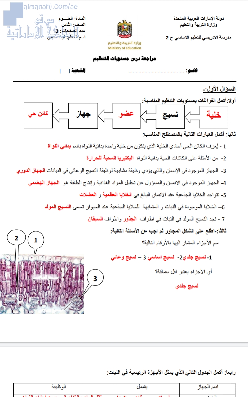 مراجعة