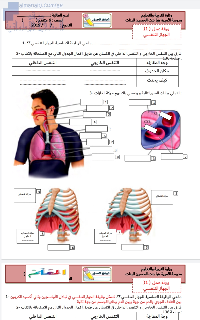 ورقة