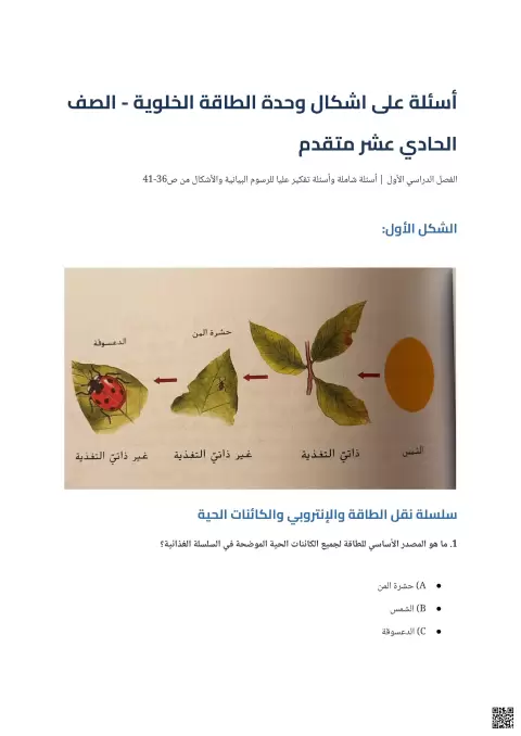 أسئلة شاملة وتفكير عليا للرسوم البيانية والأشكال