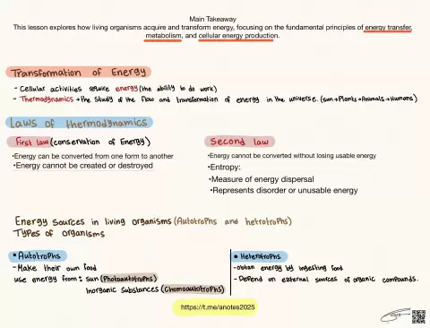 Energy Transformation and Metabolism