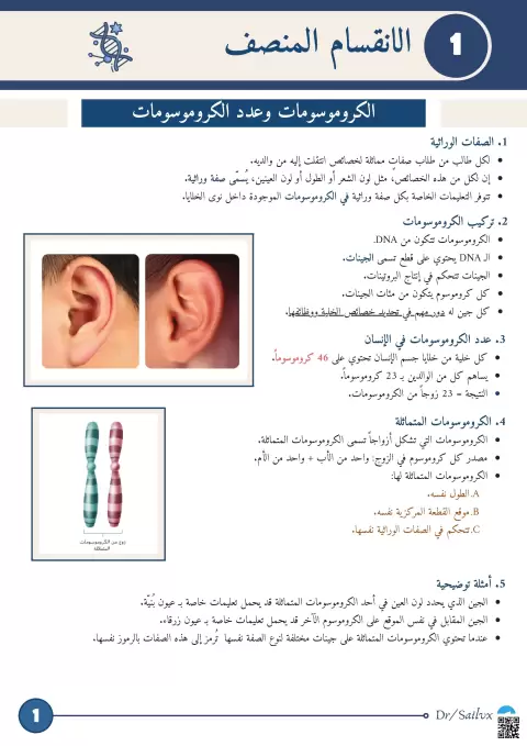 الانقسام المنصف