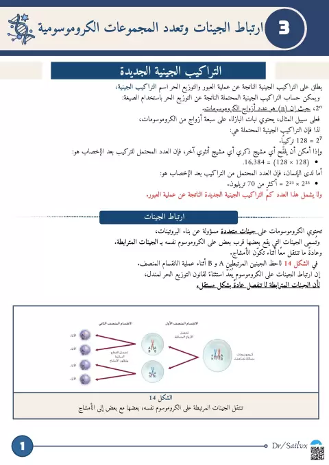 ارتباط الجينات وتعدد المجموعات الكروموسومية