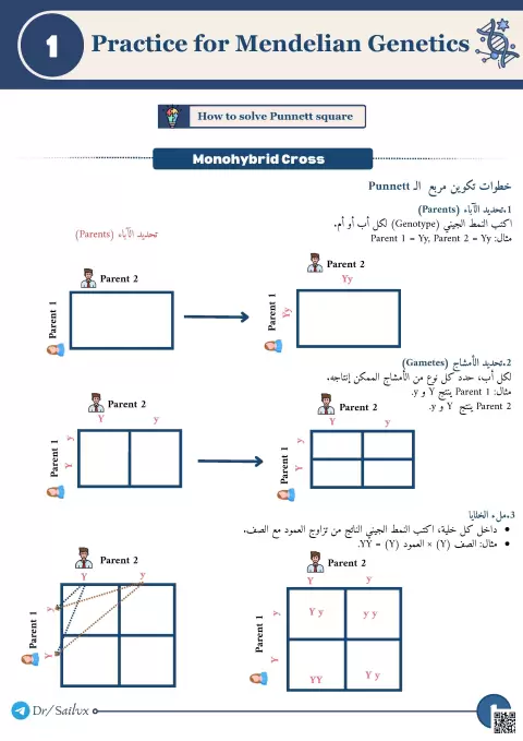 Practice for Mendelian Genetics