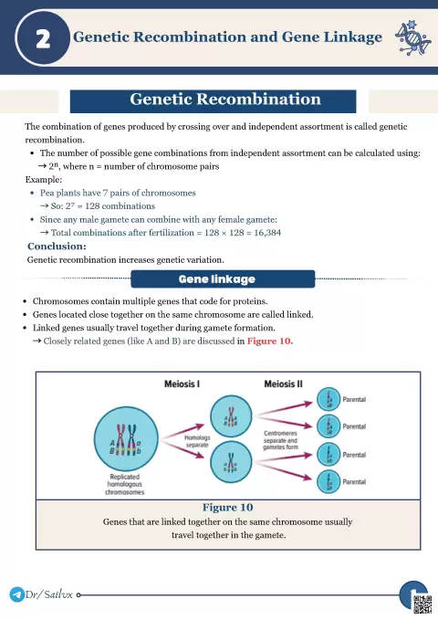 Genetic Recombination and Gene Linkage