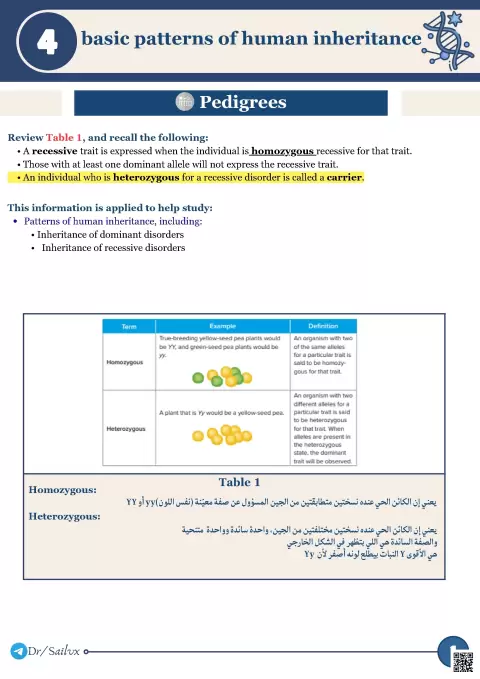 Basic Patterns of Human Inheritance: Pedigrees