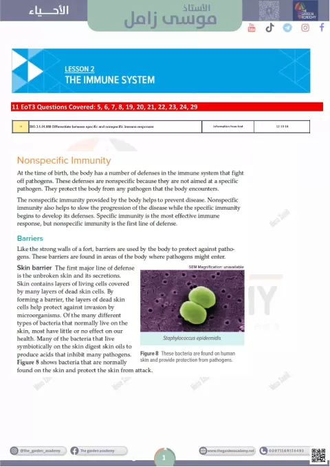 The Immune System