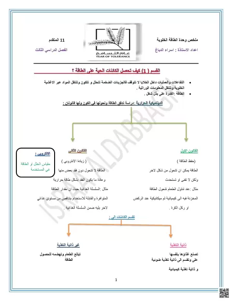 ملخص وحدة الطاقة الخلوية