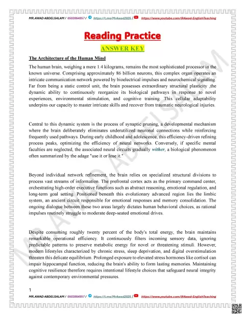 Reading Practice: The Architecture of the Human Mind