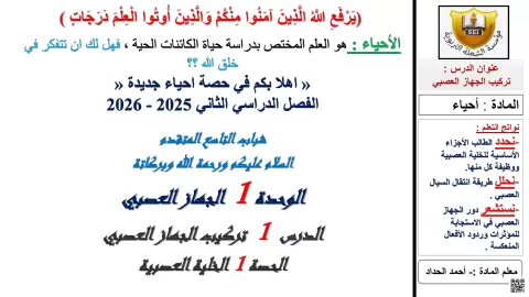 تركيب الجهاز العصبي