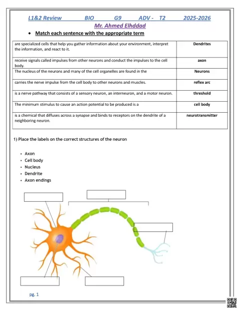L1 and 2 Review - Nervous System
