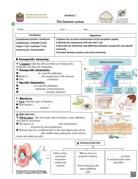 The Immune system