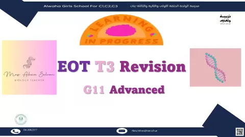 EOT T3 Revision
