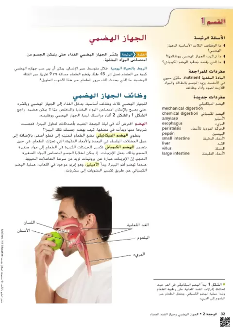 الجهاز الهضمي