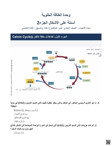 وحدة الطاقة الخلوية - أسئلة اختيار من متعدد حول الأشكال الجزء الثاني