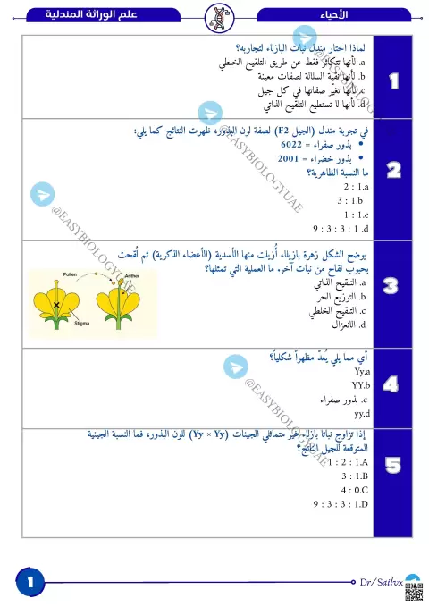 علم الوراثة المندلية