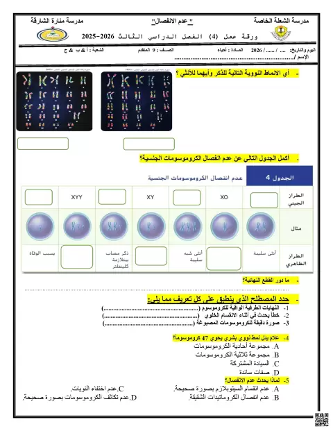 ورقة عمل عدم الانفصال