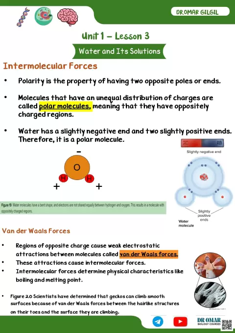 Water and Its Solutions