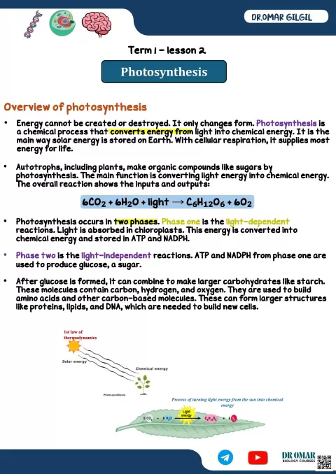 شرح Photosynthesis