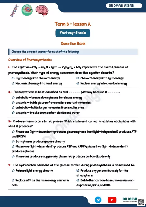 Photosynthesis Question Bank