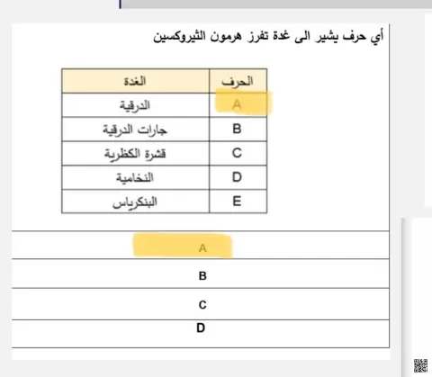 أسئلة مراجعة اختبارات سابقة
