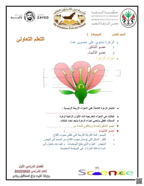 ورقة عمل أجزاء الزهرة