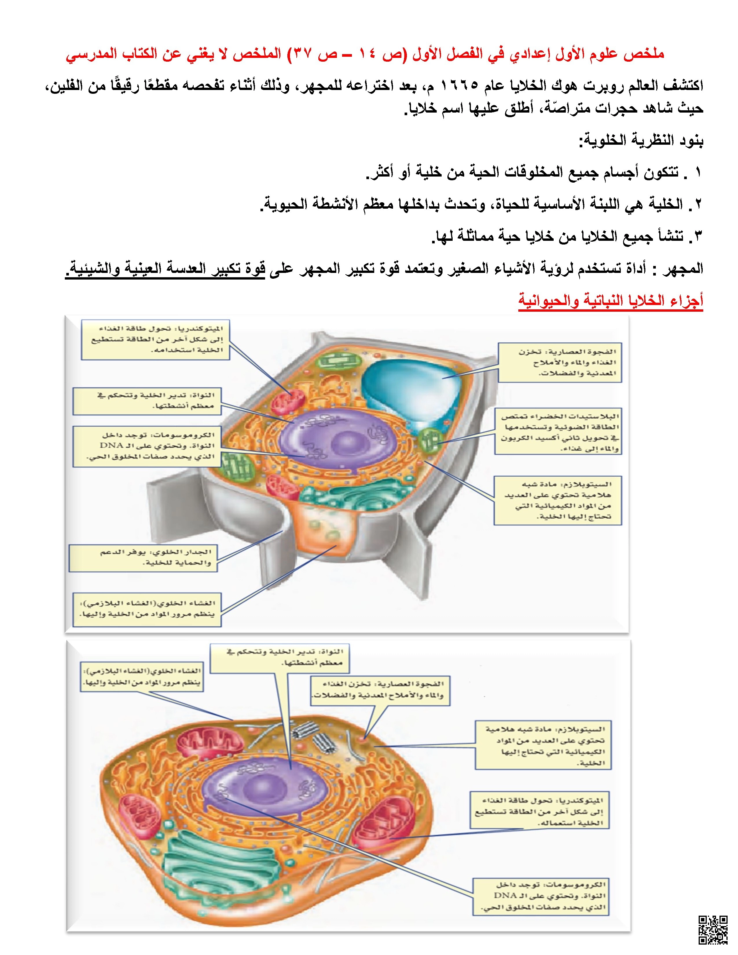 ملخص مادة العلوم للصف الأول الإعدادي