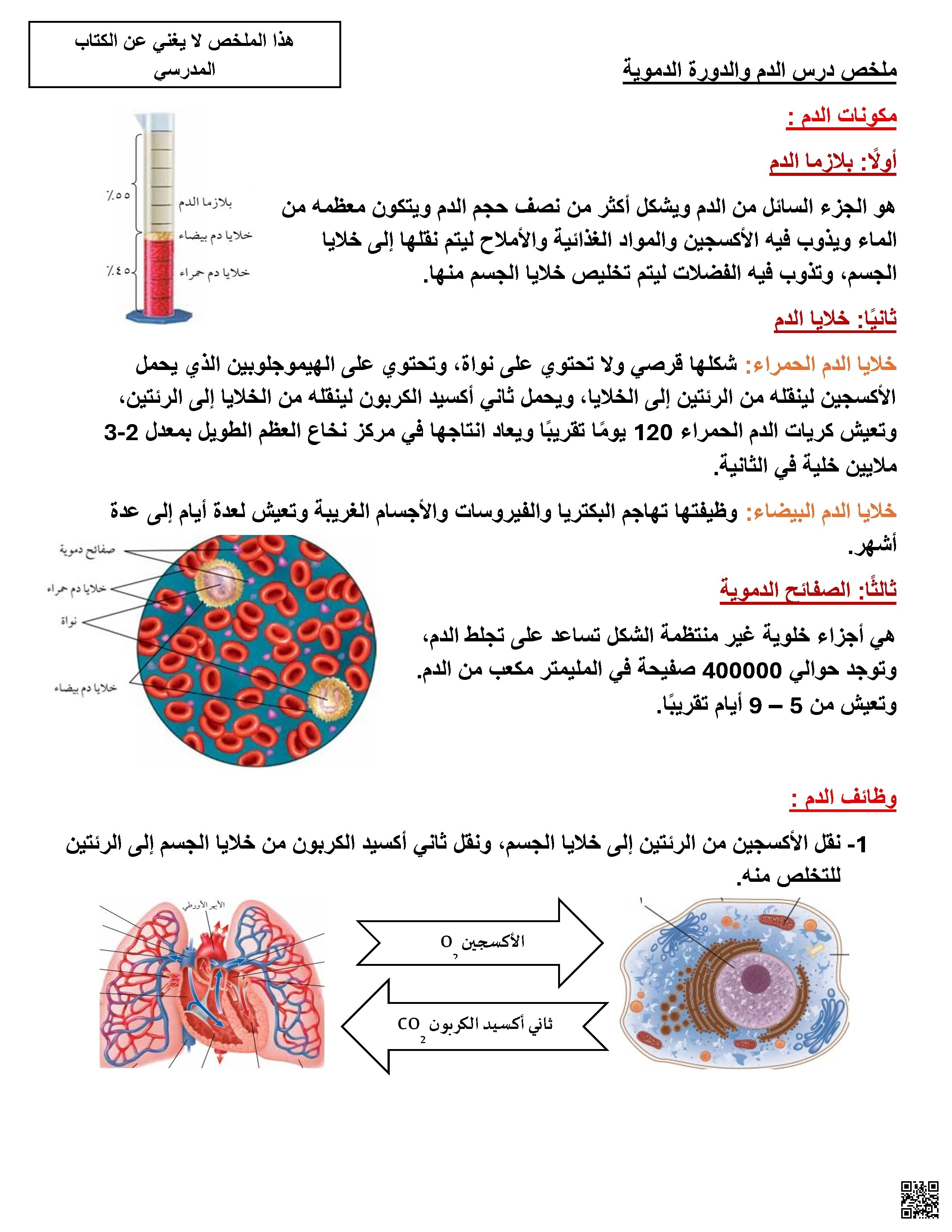 الدم والدورة الدموية