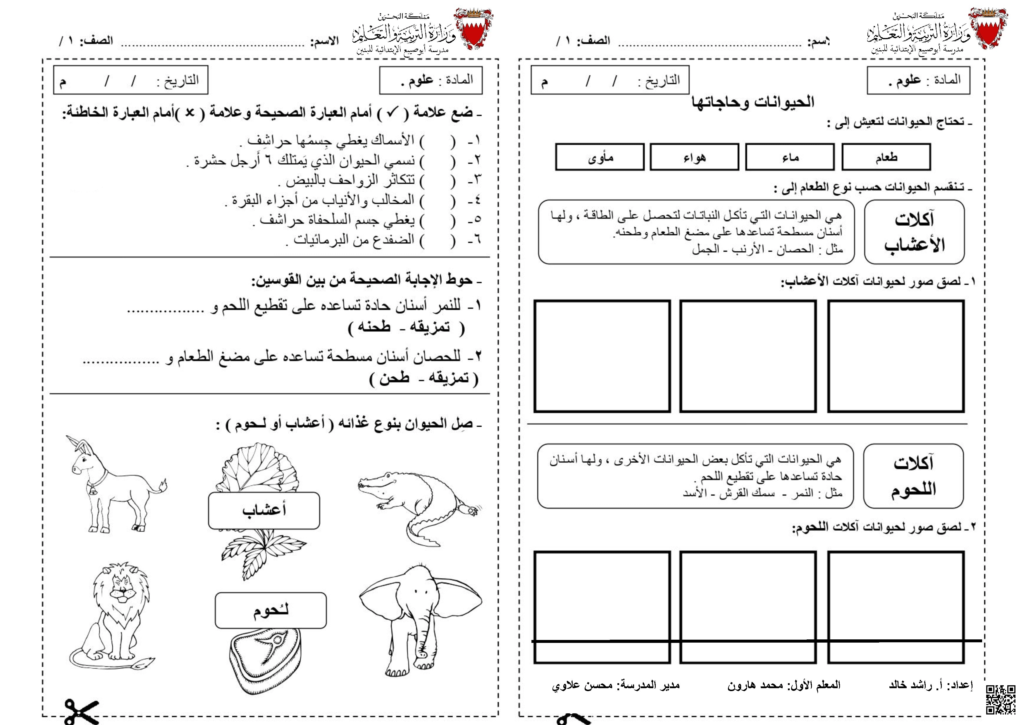 نشاط تعليمي