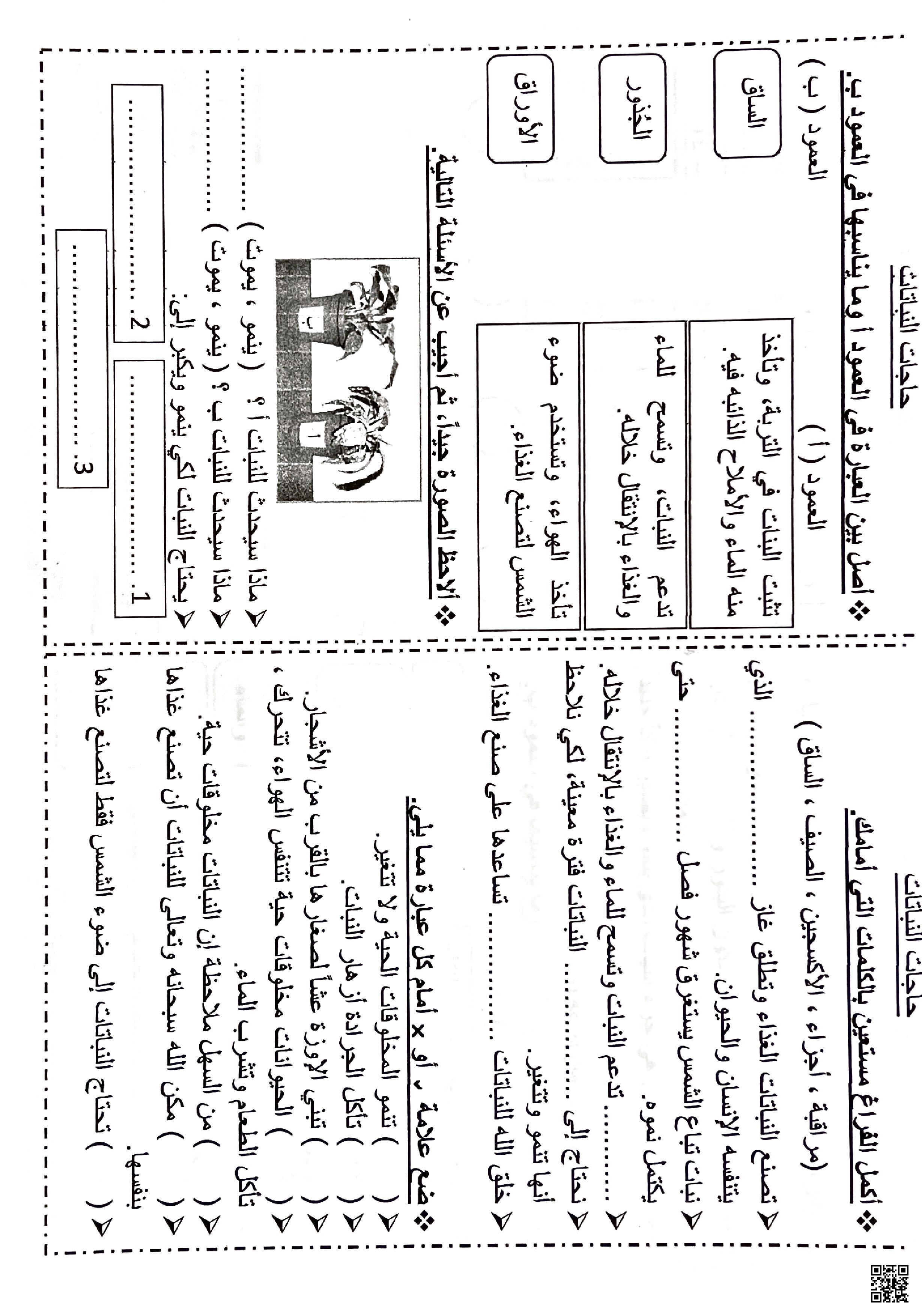 أوراق عمل درس حاجات النباتات