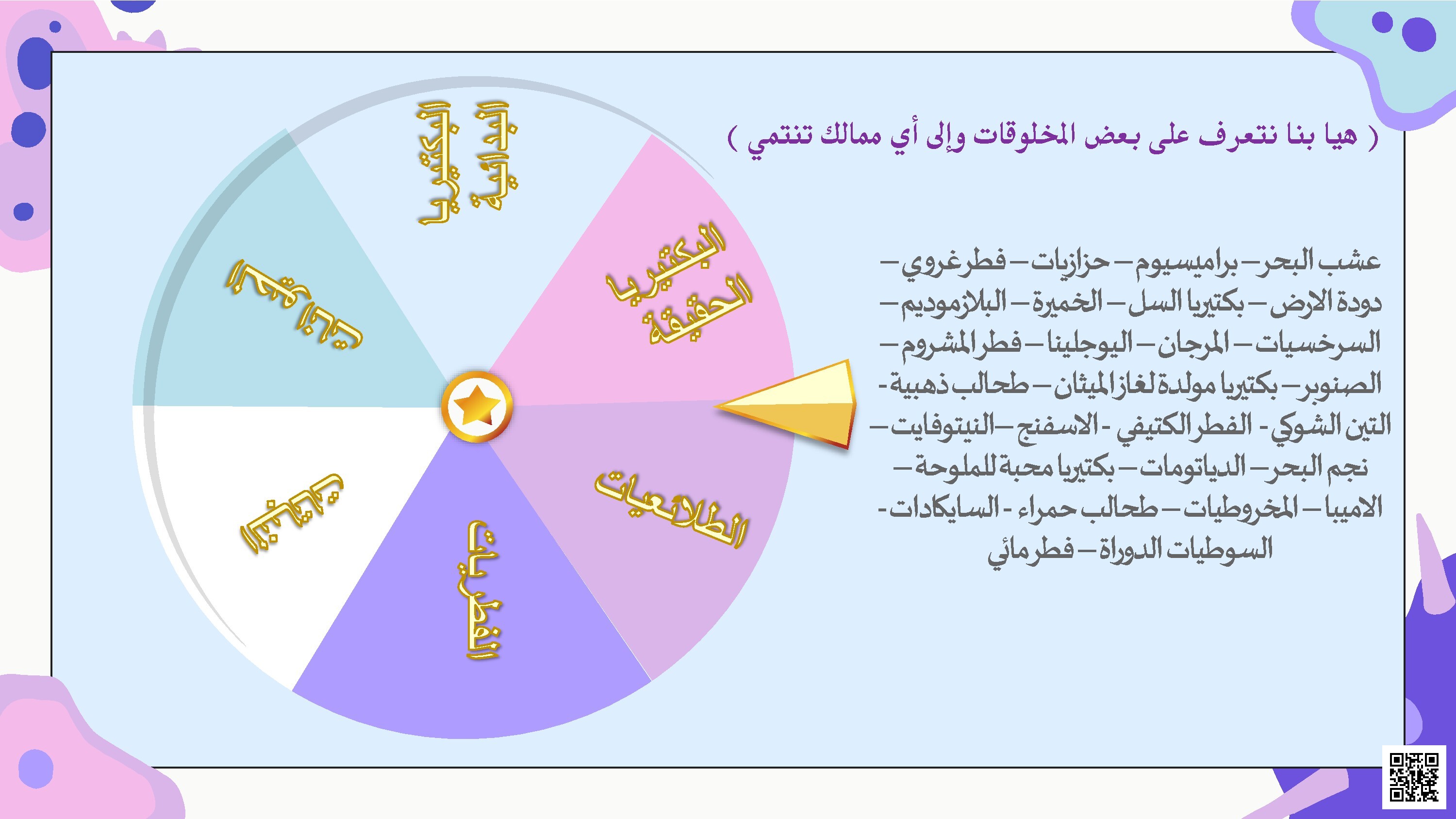  الطلائعيات الشبيهة بالحيوانات الهدبيات الأوليات - أحياء - الصف الصف الثاني الثانوي - الفصل الفصل الثاني