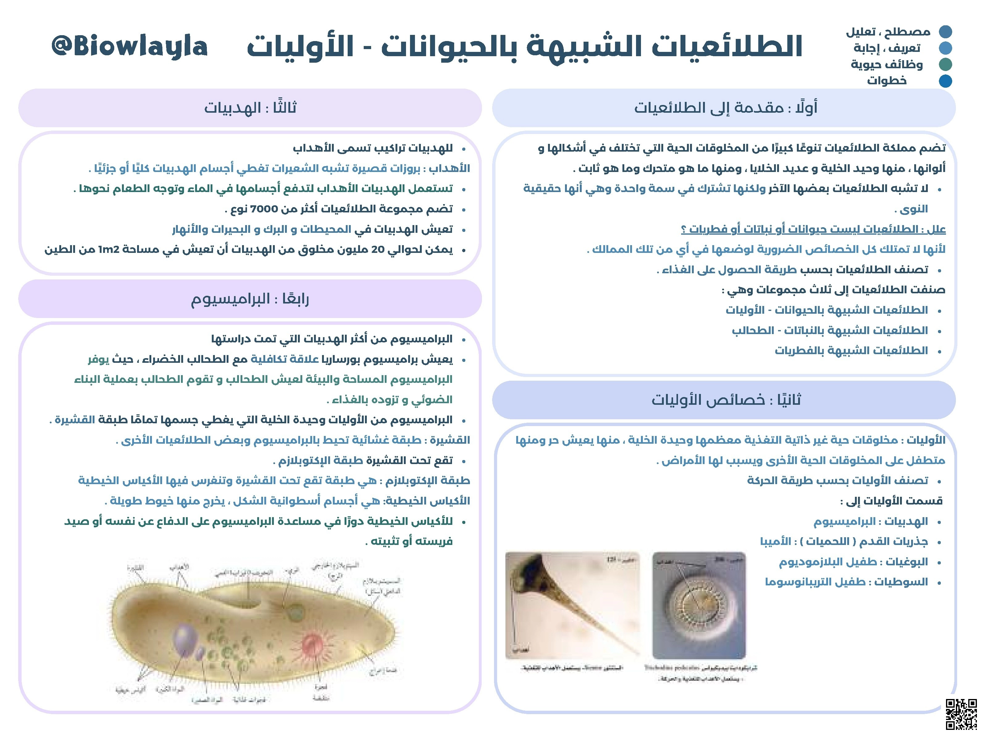 المذكرة الشاملة في الأحياء تنوع الفطريات والطلائعيات الشبيهة بالنباتات - أحياء - الصف الصف الثاني الثانوي - الفصل الفصل الثاني