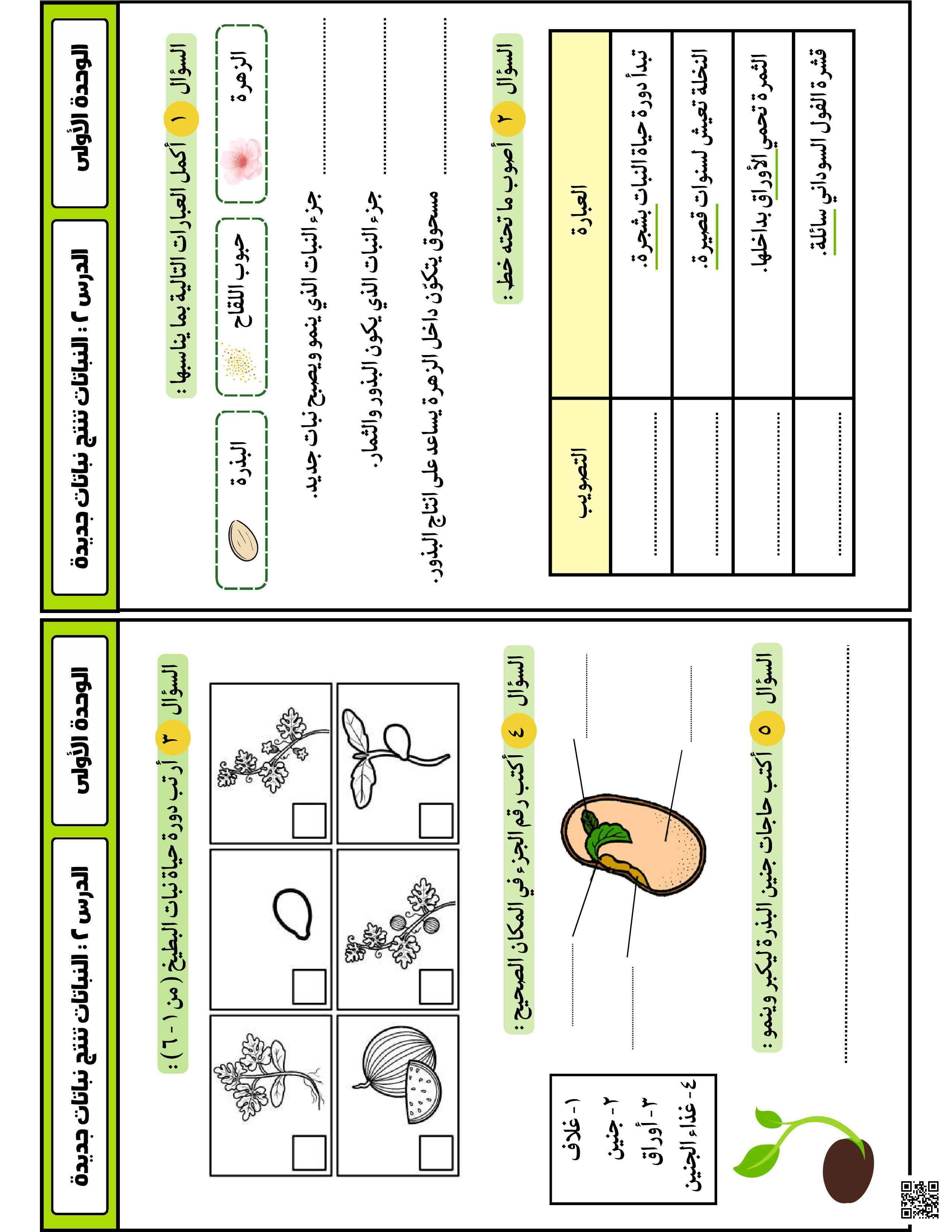  شرح و تحليل درس النباتات تنتج نباتات - علوم - الصف الصف الثاني - الفصل الفصل الثاني