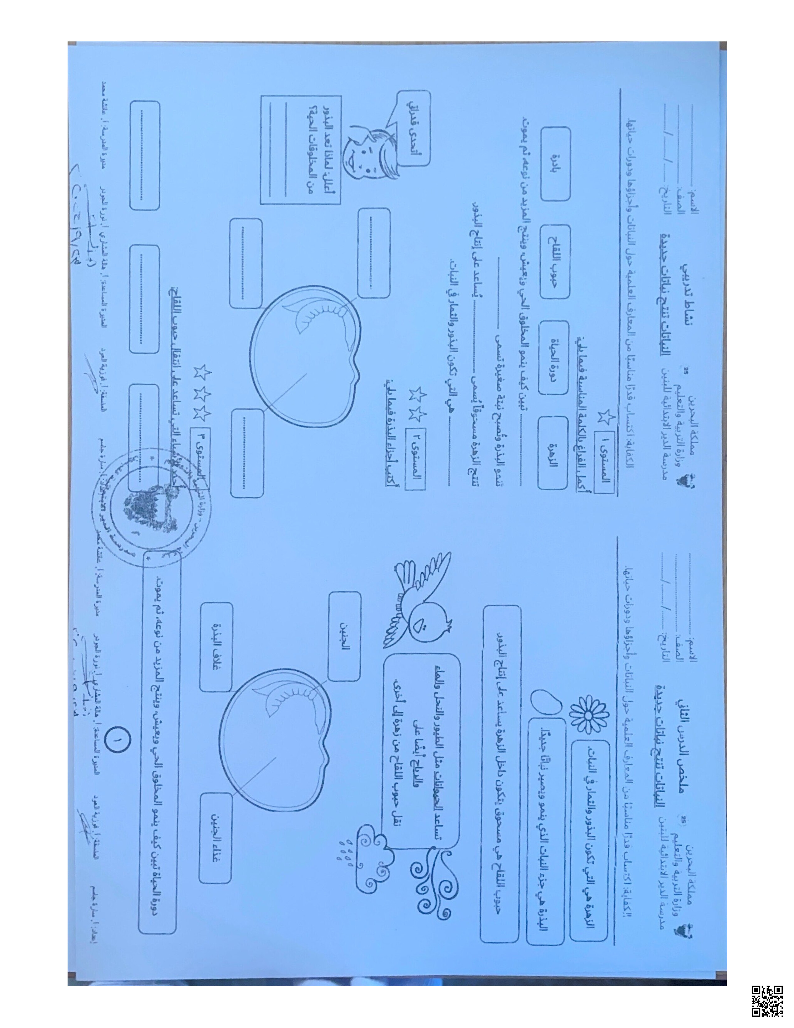 تشاطات التربية الإسلامية - تربية اسلامية - الصف الصف الثاني - الفصل الفصل الثاني