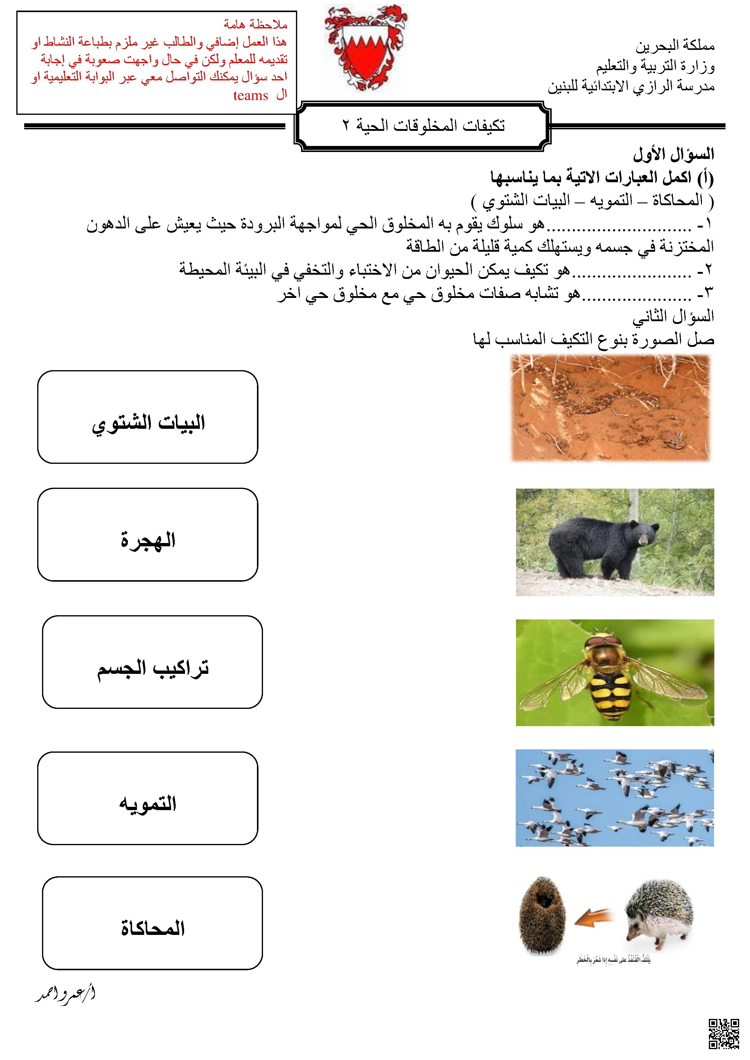 أنشطة إثرائية النظام البيئي وتكيفات المخلوقات الحية - علوم - الصف الصف الرابع - الفصل الفصل الثاني