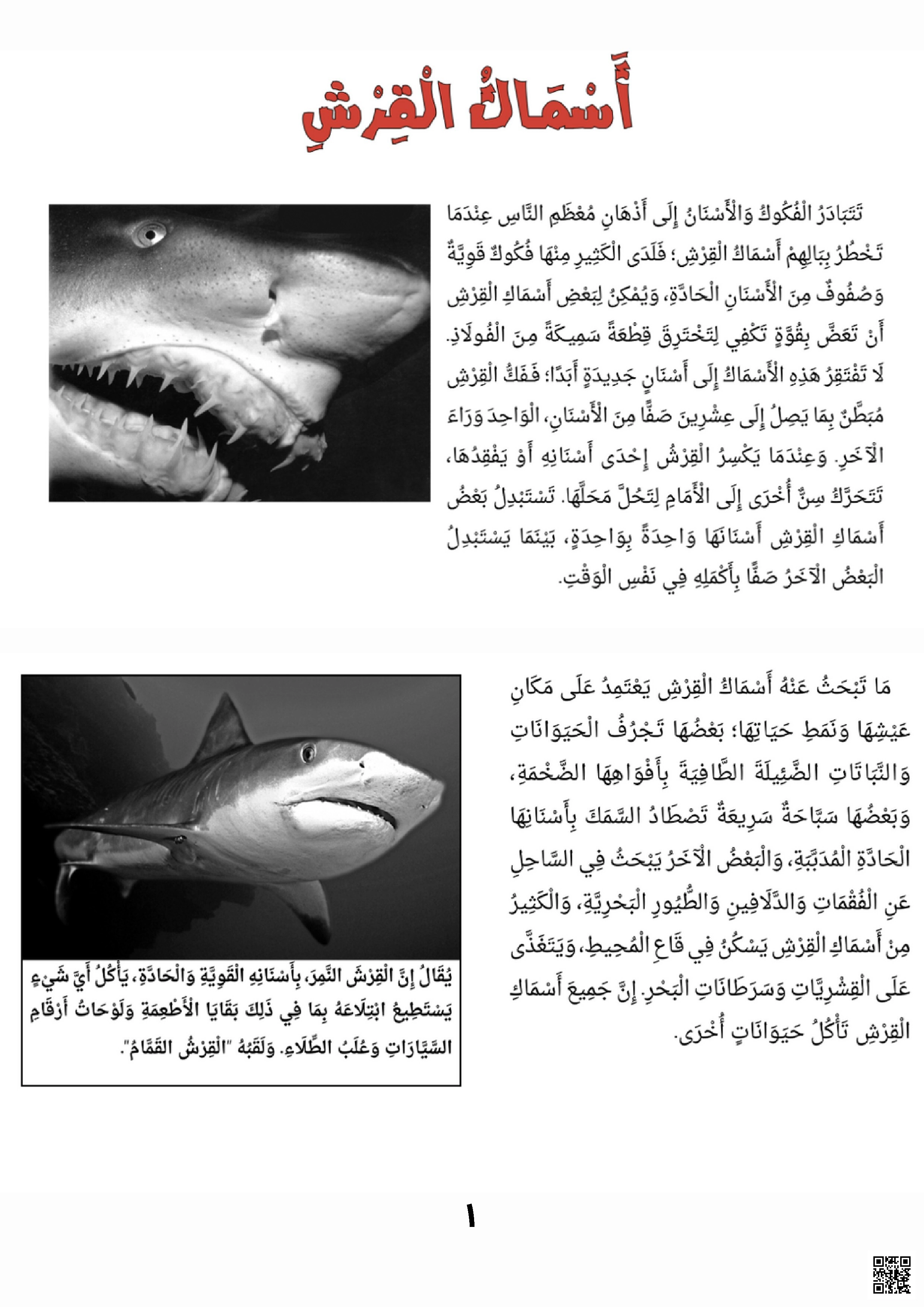 ورقة عمل أسماك القرش عالم المفترسات البحرية المذهلة - علوم - الصف الصف الرابع - الفصل الفصل الثاني