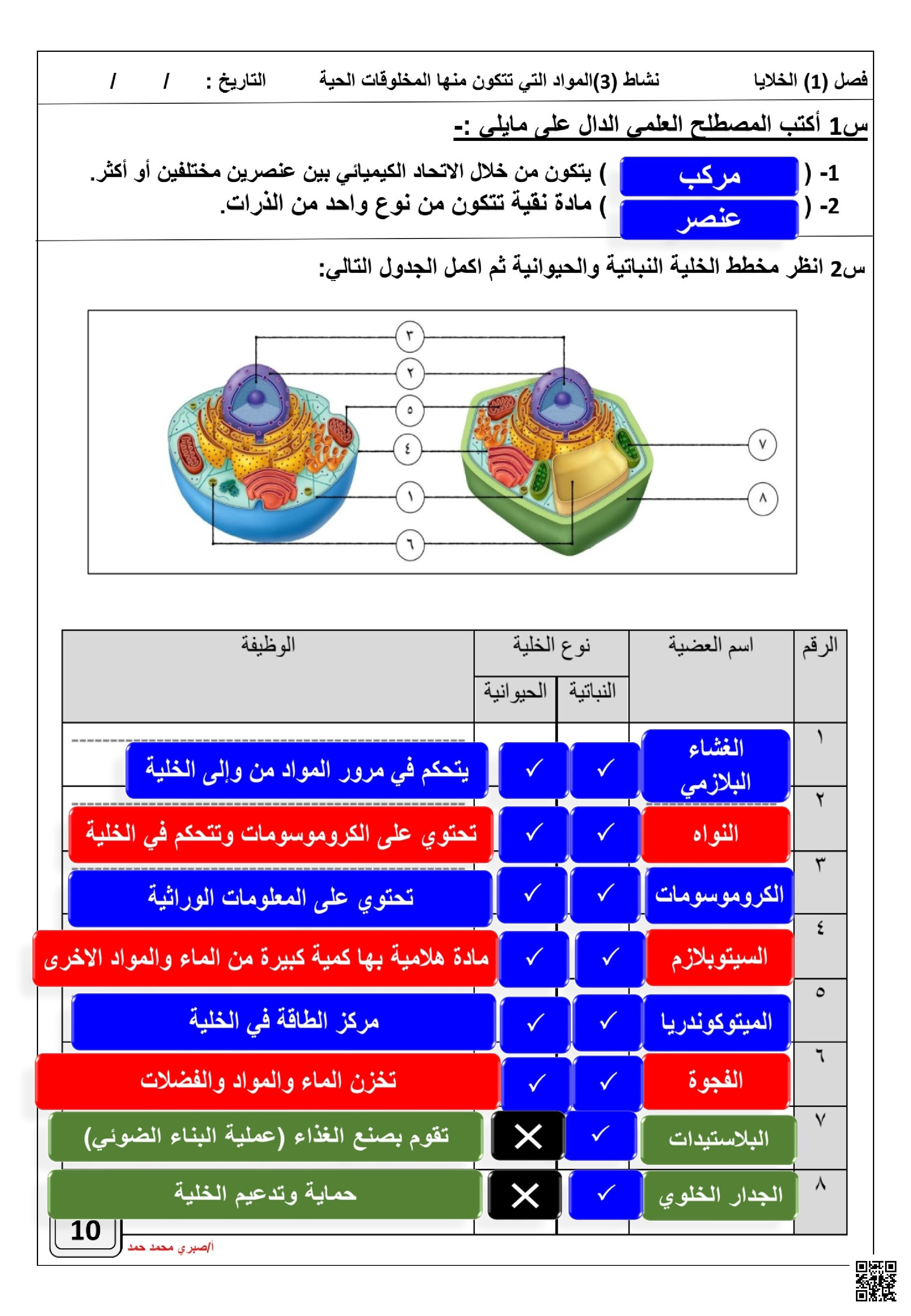 أوراق عمل نشاط المواد التي تتكون منها المخلوقات الحية والخلايا