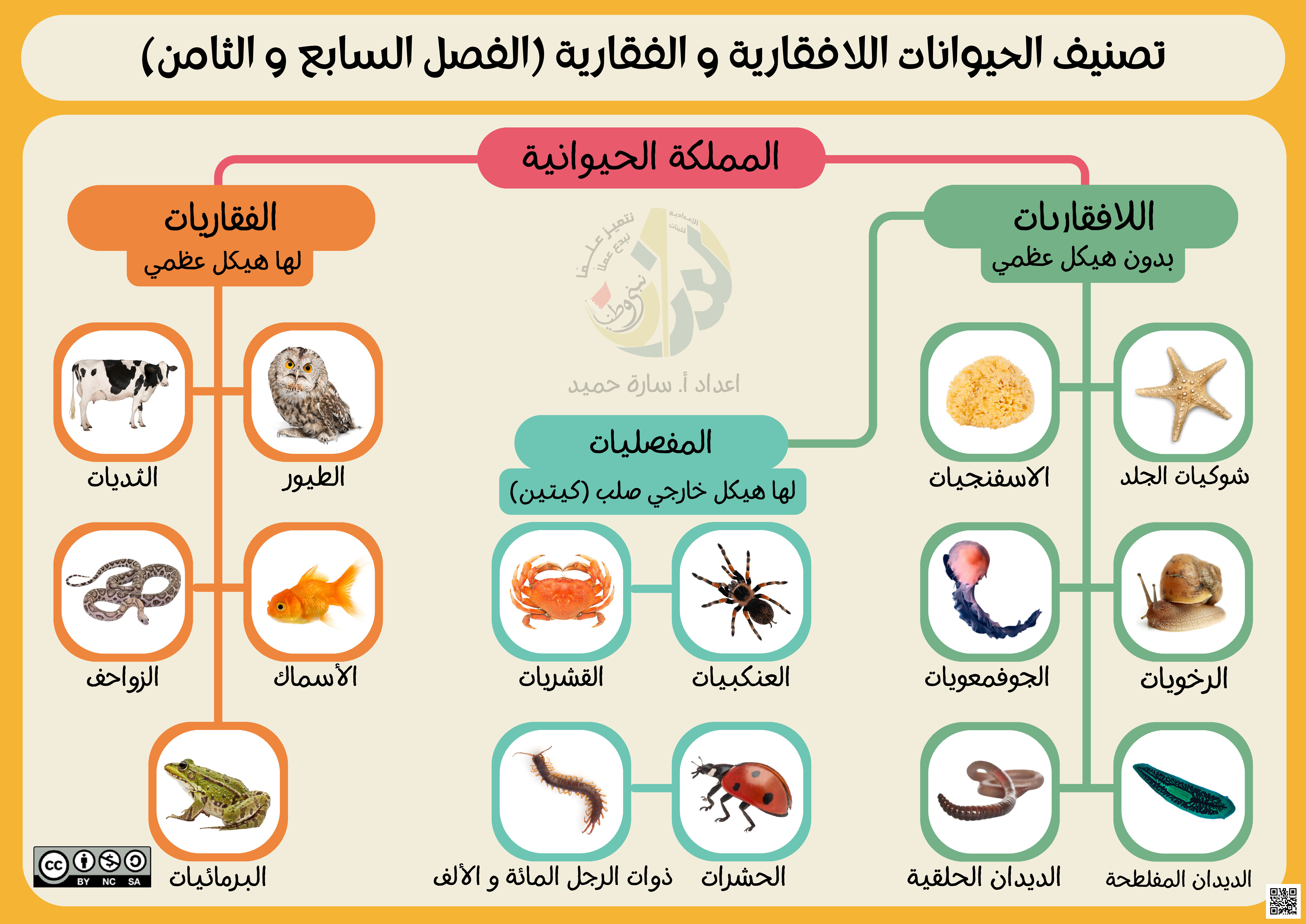 الملخص التفاعلي للفصّل السابع و الثامن - علوم - الصف الصف السابع - الفصل الفصل الثاني