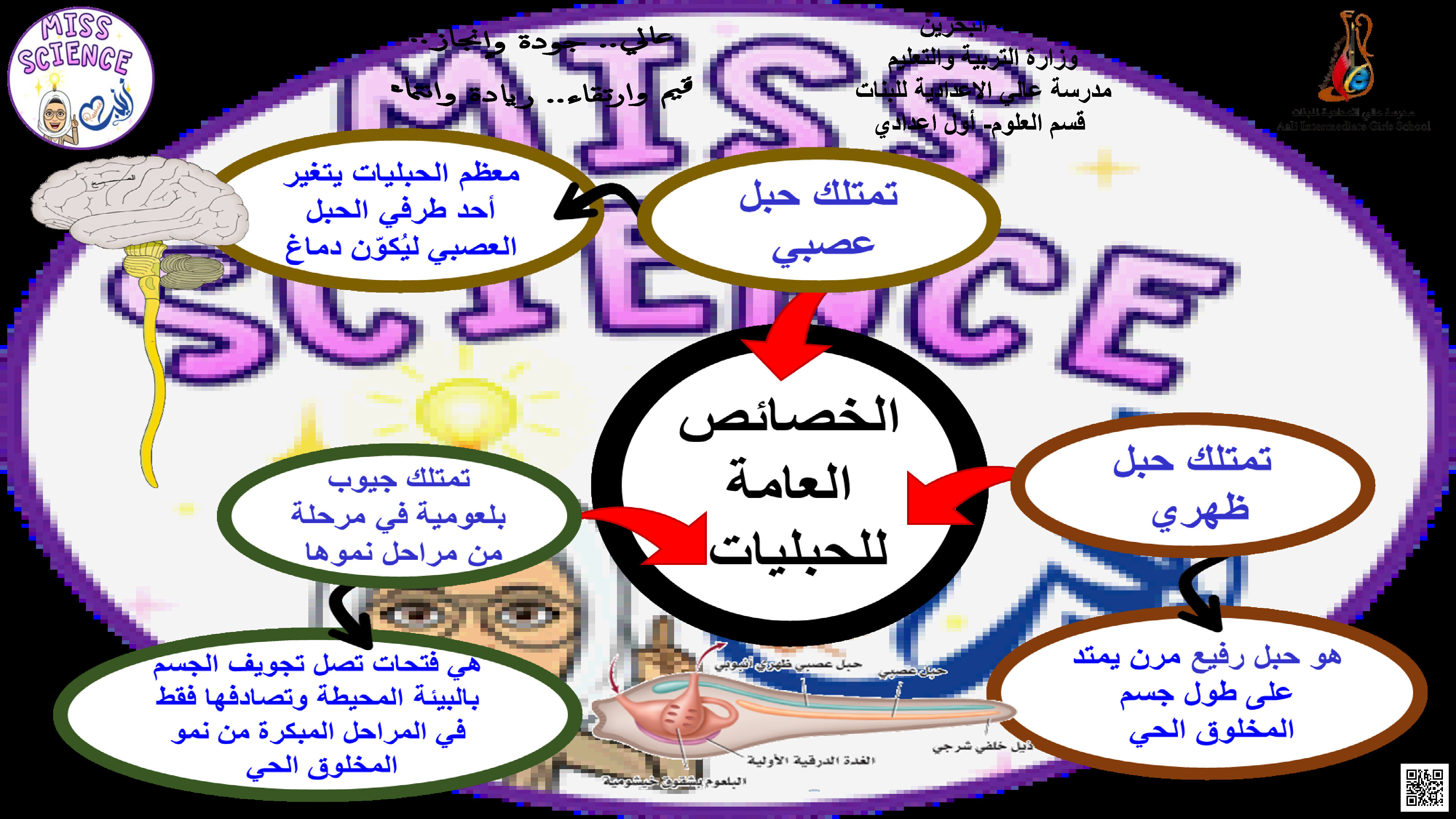 الخرائط المفاهمية الفصل الثامن - علوم - الصف الصف السابع - الفصل الفصل الثاني
