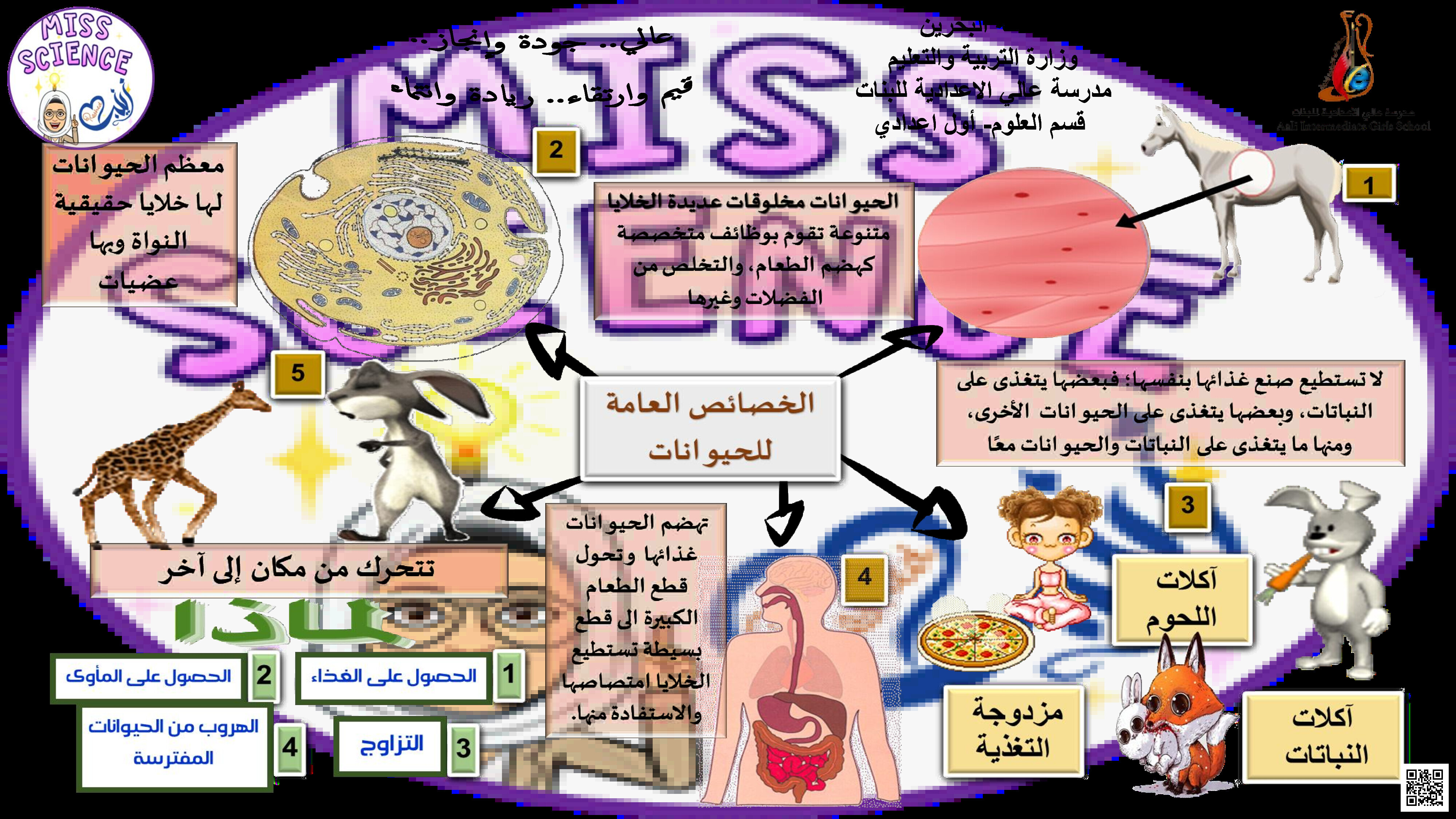 الخرائط المفاهمية الفصل السابع - علوم - الصف الصف السابع - الفصل الفصل الثاني